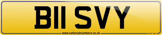 B11 SVY
