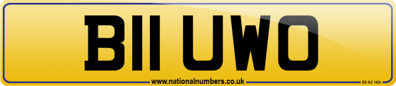 B11 UWO