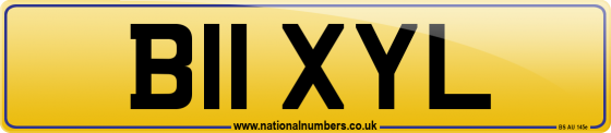 B11 XYL