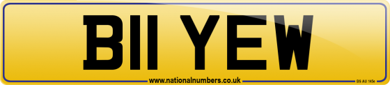 B11 YEW