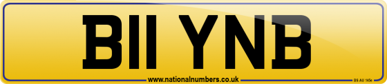 B11 YNB