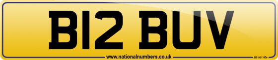 B12 BUV