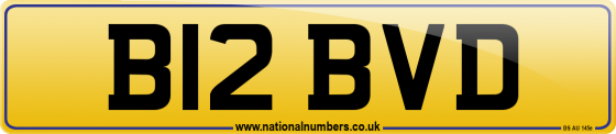 B12 BVD
