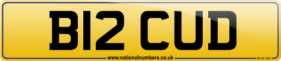 B12 CUD