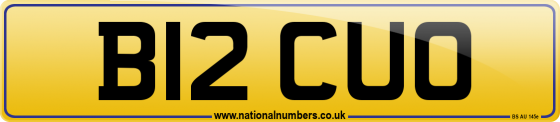 B12 CUO