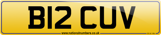B12 CUV