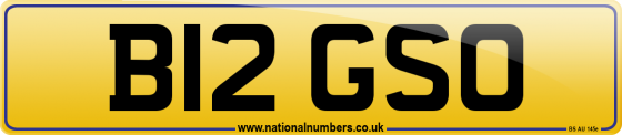 B12 GSO