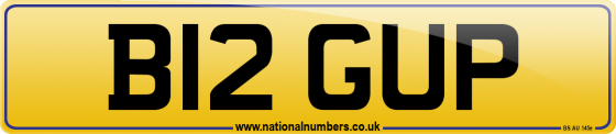 B12 GUP
