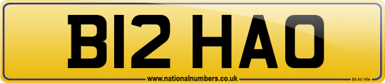 B12 HAO