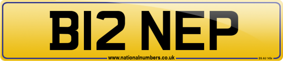 B12 NEP