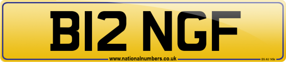 B12 NGF