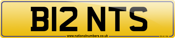 B12 NTS