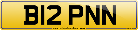 B12 PNN