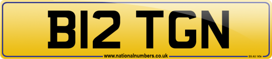 B12 TGN