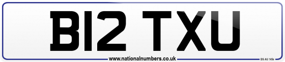 B12 TXU