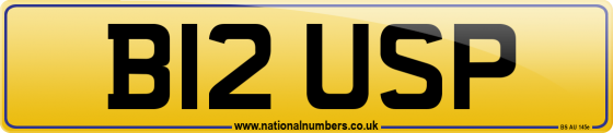 B12 USP