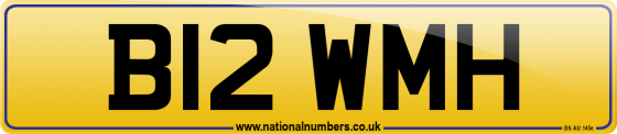 B12 WMH