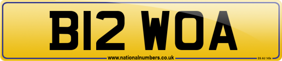 B12 WOA