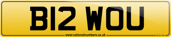B12 WOU