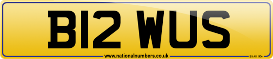 B12 WUS