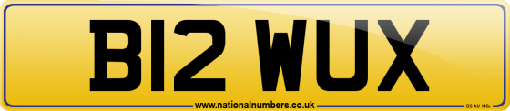 B12 WUX