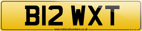 B12 WXT