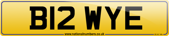 B12 WYE