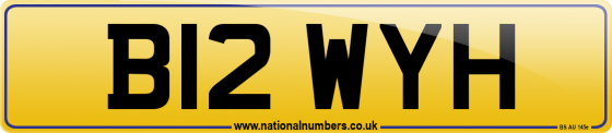 B12 WYH