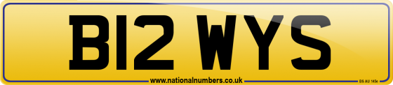 B12 WYS