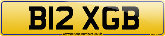 B12 XGB