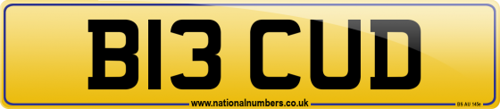 B13 CUD