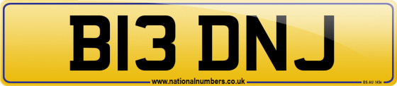B13 DNJ