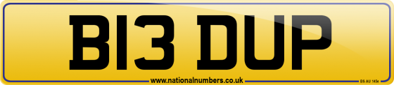 B13 DUP