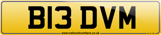 B13 DVM