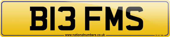 B13 FMS