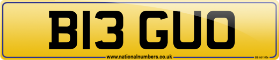 B13 GUO