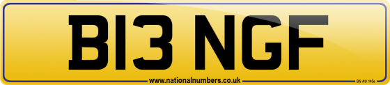 B13 NGF