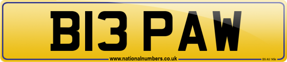 B13 PAW