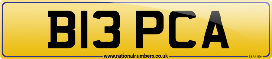 B13 PCA