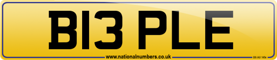 B13 PLE
