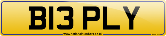 B13 PLY
