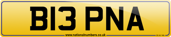B13 PNA