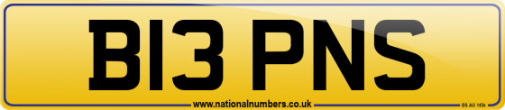 B13 PNS