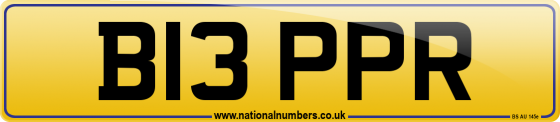 B13 PPR