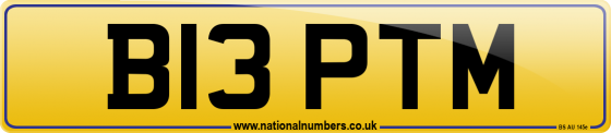 B13 PTM