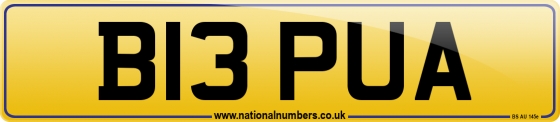 B13 PUA