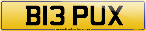 B13 PUX