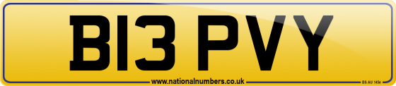 B13 PVY