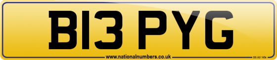 B13 PYG
