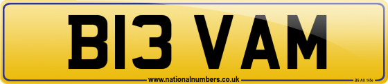 B13 VAM